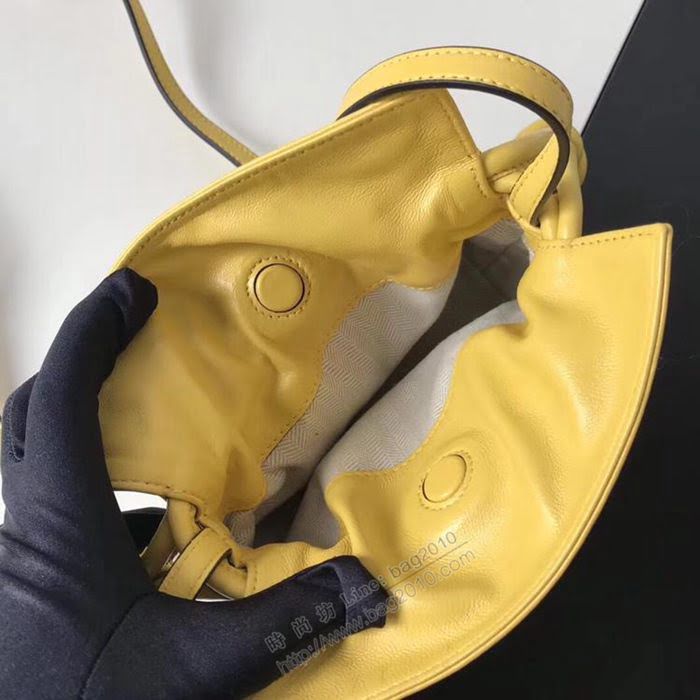 LOEWE女包 原單品質 最新mini小福袋 綿羊皮 羅意威單肩斜挎包  sl2041